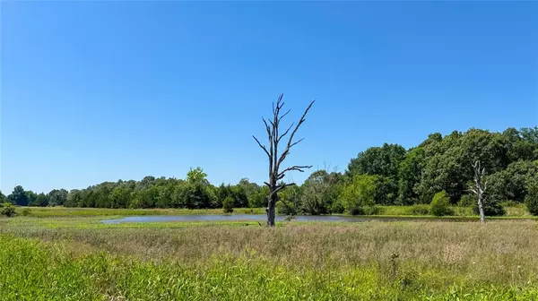 Paris, TX 75460,10 AC County Road 34710