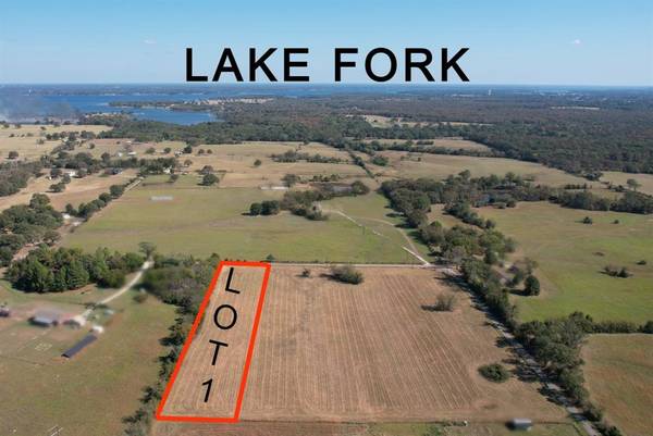 TBD Lot 1 RS County Road 3150, Emory, TX 75440