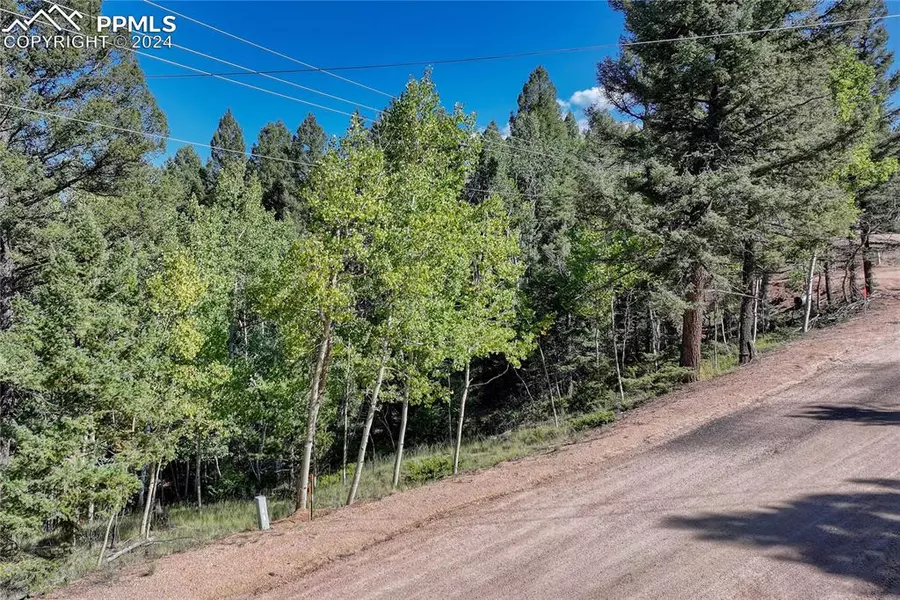 282 Pinon Lake DR, Divide, CO 80814