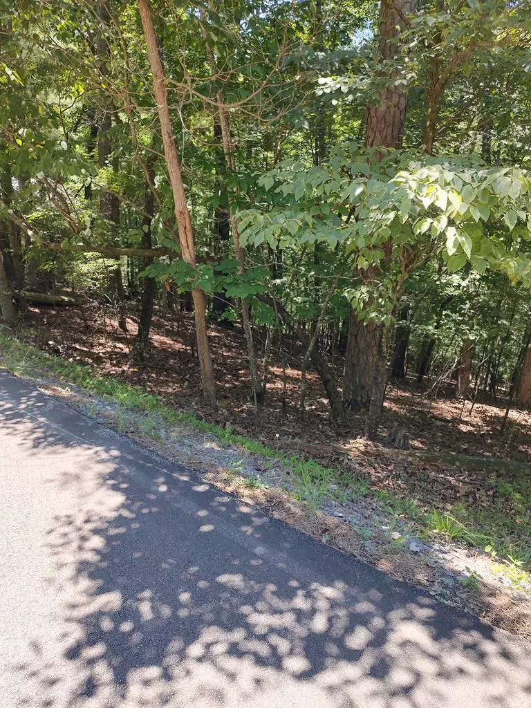 Ellijay, GA 30540,Lot 853 Matrix Lane