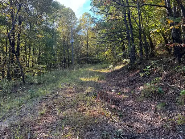 Jasper, GA 30143,13.57 Ac Burnt Mountain Cove Road