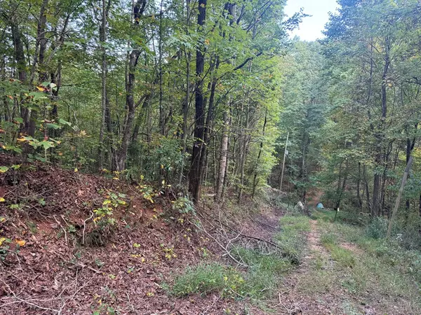 Jasper, GA 30143,13.57 Ac Burnt Mountain Cove Road