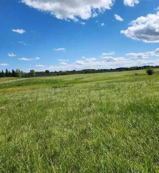 Rural Rocky View County, AB T4C 2Y4,32079 Willow WAY