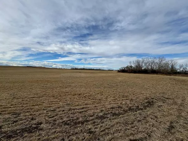 Rural Rocky View County, AB T0M 0K0,12153 Township Road 284