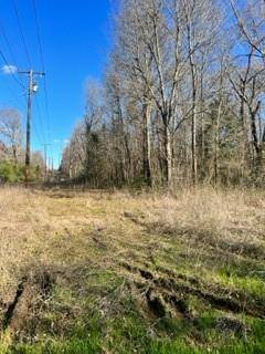 Eustace, TX 75124,TBD/ LOT 446-451 Cedar Drive