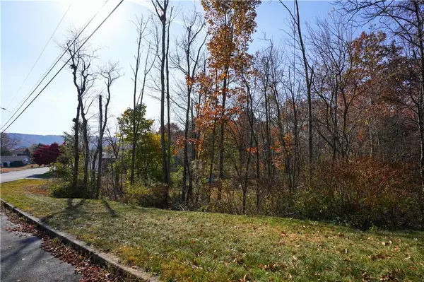 Westside Road, Mahoning Township, PA 18235