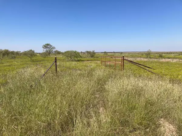 586 County Rd 400, Rowena, TX 76875