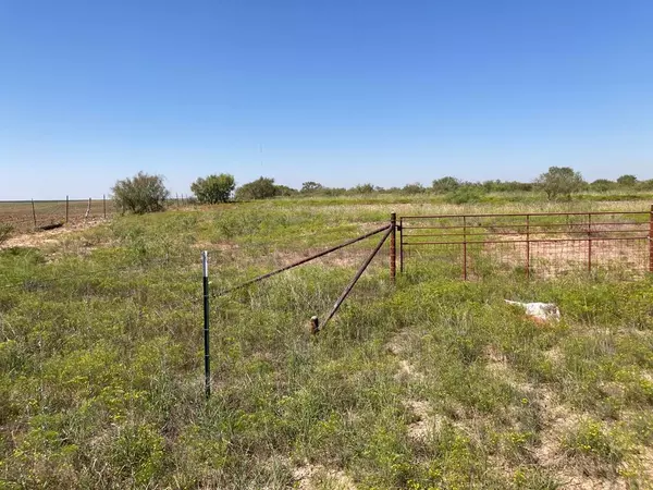 418 County Rd 400, Rowena, TX 76875