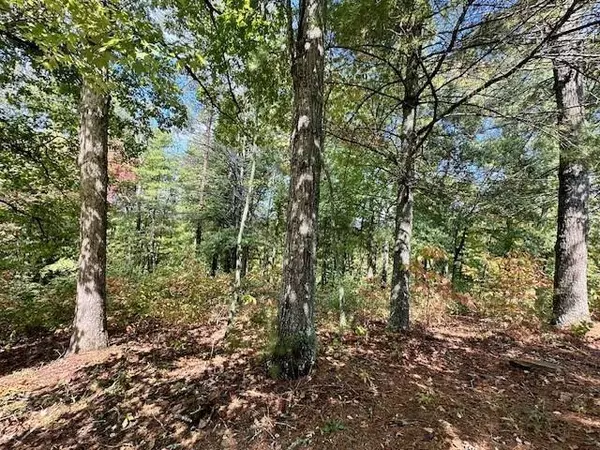 Lot 215 Old Toccoa Loop, Mineral Bluff, GA 30559