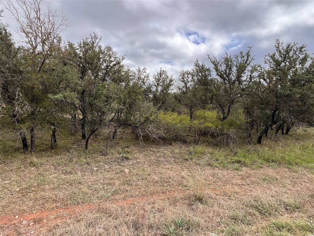 May, TX 76857,TBD Lot 586 Oak Point Drive