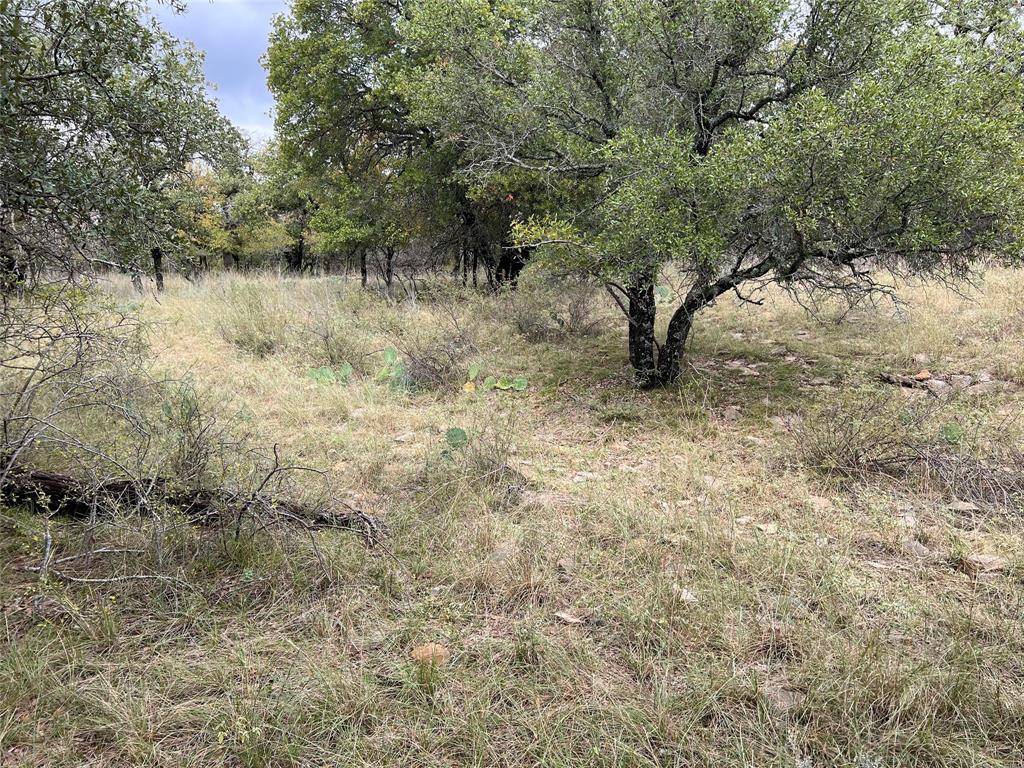 May, TX 76857,TBD Lot 586 Oak Point Drive