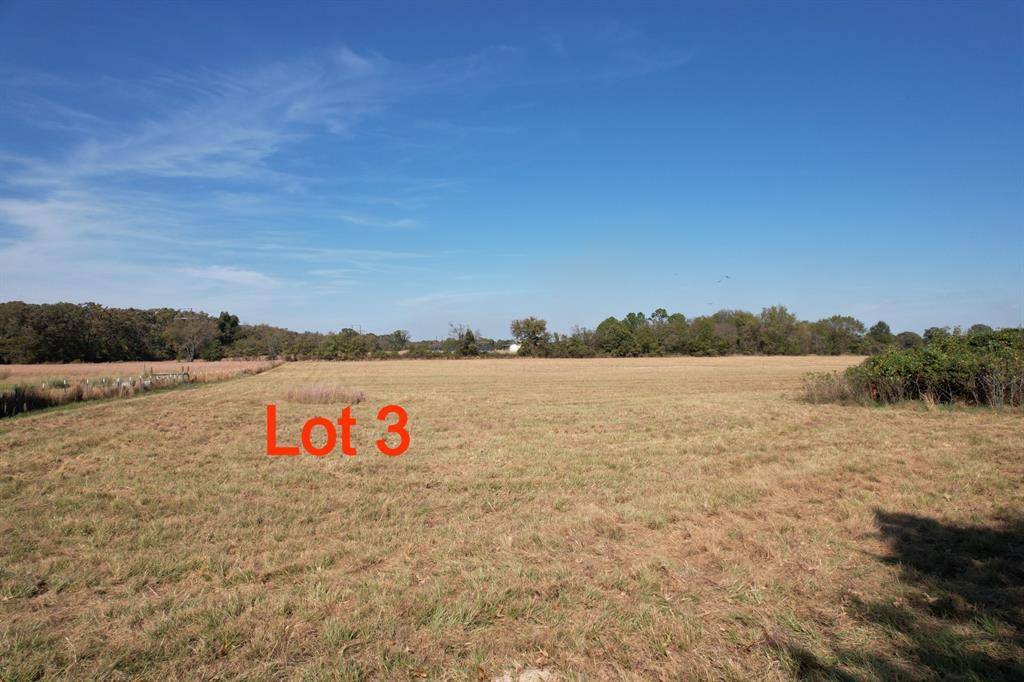 Emory, TX 75440,TBD Lot 3 RS County Road 3150