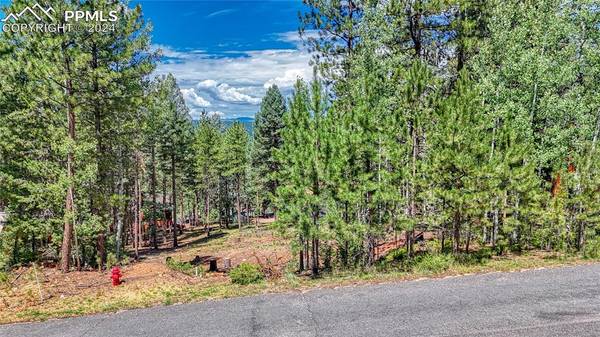 1320 Forest Edge RD, Woodland Park, CO 80863