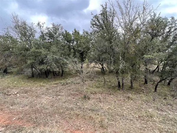 May, TX 76857,TBD Lot 586 Oak Point Drive