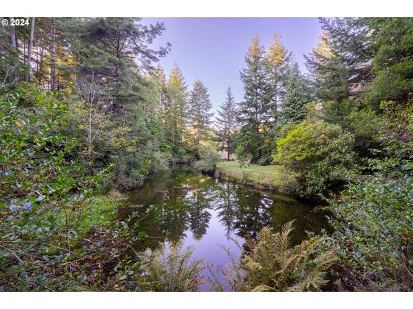 Trout Pond  TL206 LN, Bandon, OR 97411