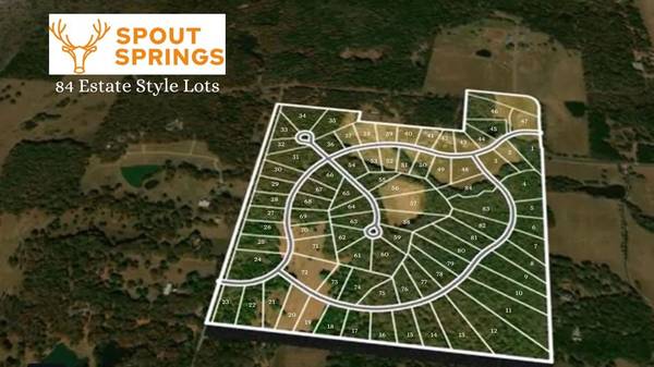 Pottsboro, TX 75076,Lot 74 Spout Springs Road