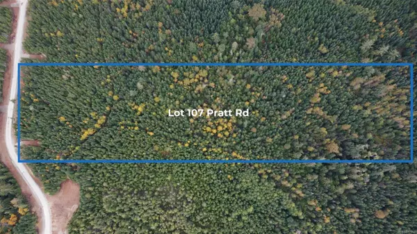 Hilliers, BC V0R 0B9,Lot 107 Pratt Rd