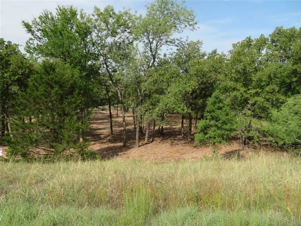 Bowie, TX 76230,000 Horizon Ridge