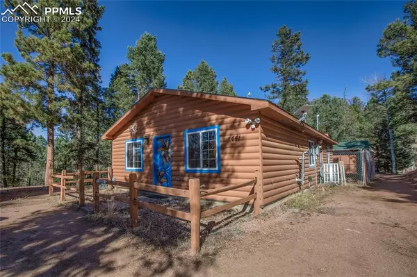 441 Paint Pony LN, Florissant, CO 80816