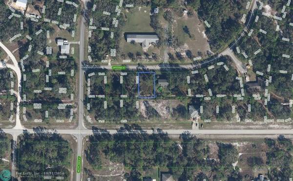 805 Gardenia St, Lake Placid, FL 33852