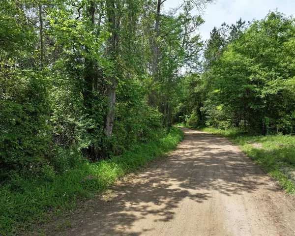 Colmesneil, TX 75938,000 County Road 3709