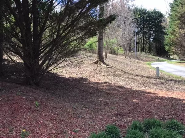 LOT 28 Sneaking Creek, Hayesville, NC 28906