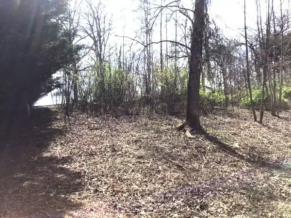 Hayesville, NC 28906,LOT 28 Sneaking Creek