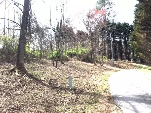 Hayesville, NC 28906,LOT 28 Sneaking Creek