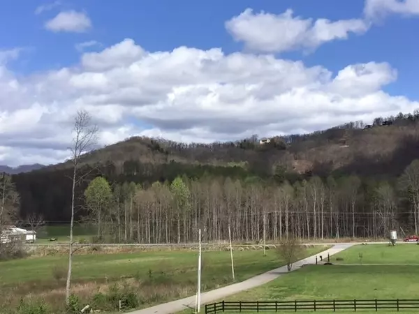 Hayesville, NC 28906,LOT 28 Sneaking Creek