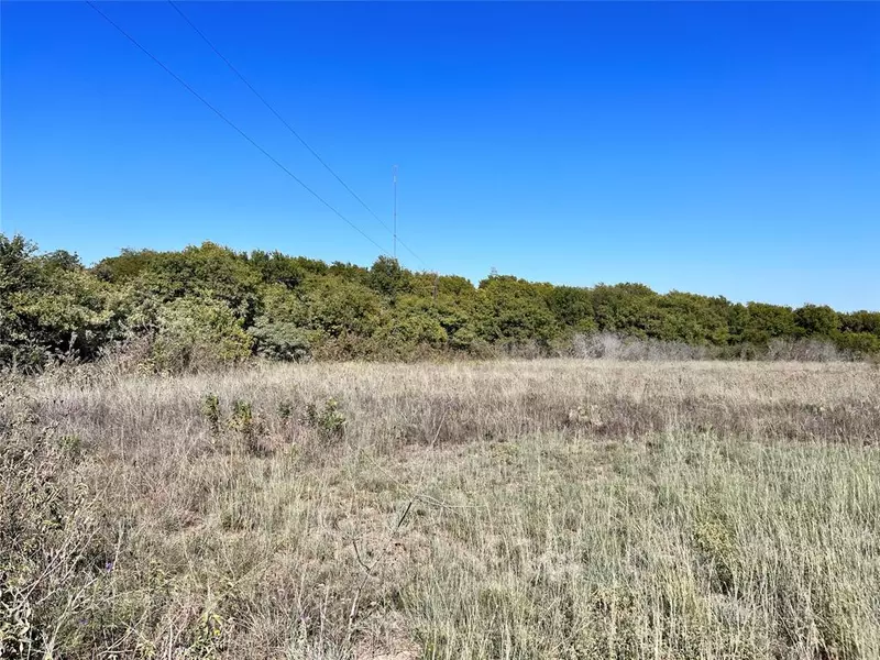 TBD Linda Road, Carls Corner, TX 76670