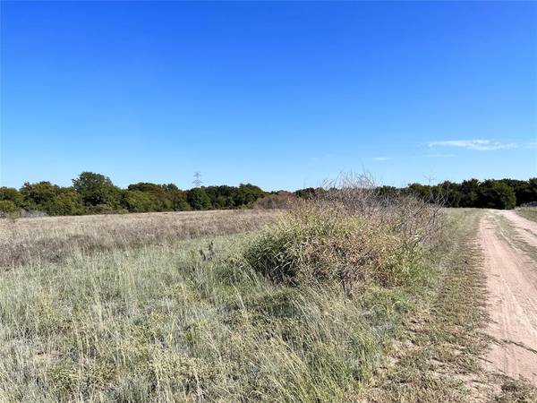 Carls Corner, TX 76670,TBD Linda Road