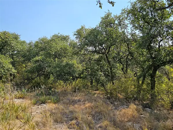 Brownwood, TX 76801,Lot 5 County Road 134