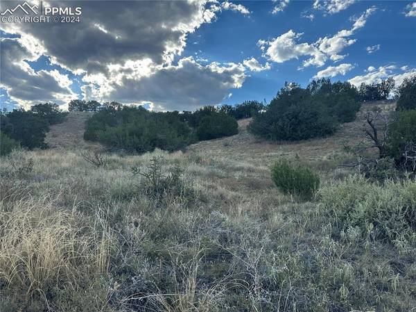 69 Wild Rose DR,  Canon City,  CO 81212