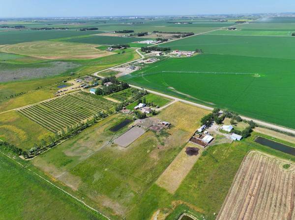 Rural Lethbridge County, AB T1M 1M2,205023 10-0 Twp Rd