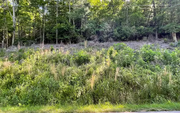 Hayesville, NC 28904,LOT 2 Fires Creek Road