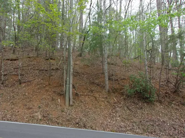 Ellijay, GA 30540,2090R Newport Dr (Lot)