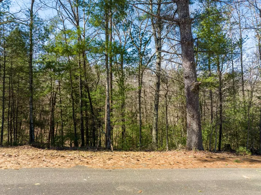 Ellijay, GA 30540,Lot 164 Shenendoa Drive