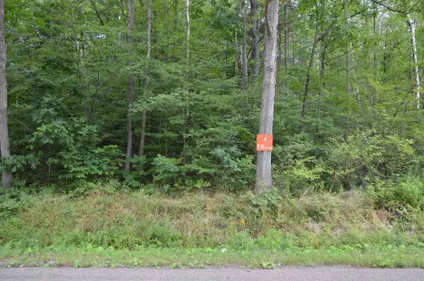 Horseheads, NY 14845,Lot # 4 Hibbard Road