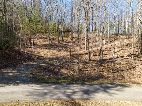 Ellijay, GA 30540,LOT 508 Chicasaw Drive