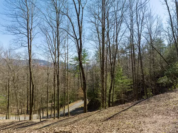 Ellijay, GA 30540,LOT 508 Chicasaw Drive