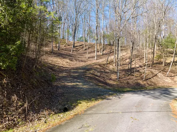 Ellijay, GA 30540,LOT 508 Chicasaw Drive