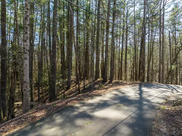 Ellijay, GA 30540,Lot 658 Satsuma Court