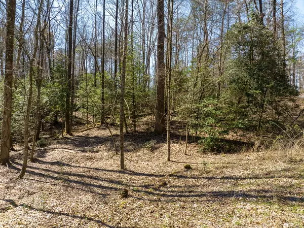 Ellijay, GA 30540,Lot 193 Shenendoa Drive