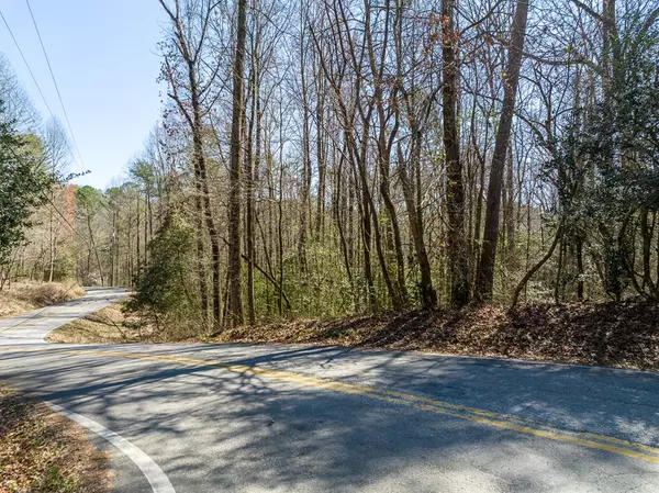 Ellijay, GA 30540,Lot 193 Shenendoa Drive