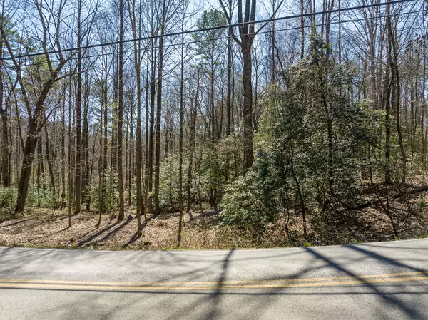 Ellijay, GA 30540,Lot 193 Shenendoa Drive