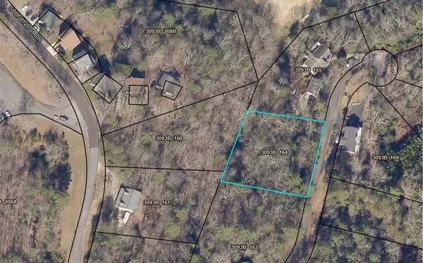 Ellijay, GA 30540,Lot 164 Shenendoa Drive