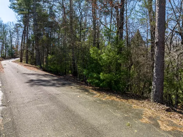 Ellijay, GA 30540,Lot 164 Shenendoa Drive