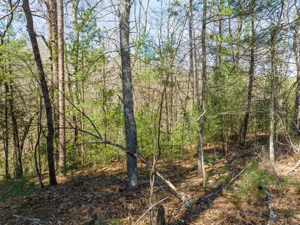 Ellijay, GA 30540,Lot 164 Shenendoa Drive