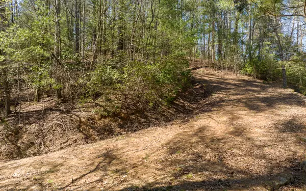 Ellijay, GA 30540,3+AC Coatopa Court