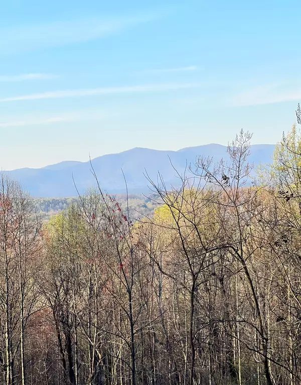 Ellijay, GA 30536,Lot 38 Bears Paw Drive